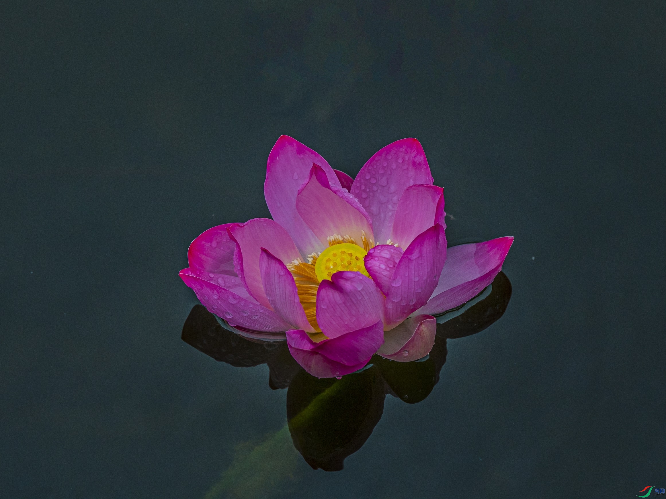 068 ����1.jpg