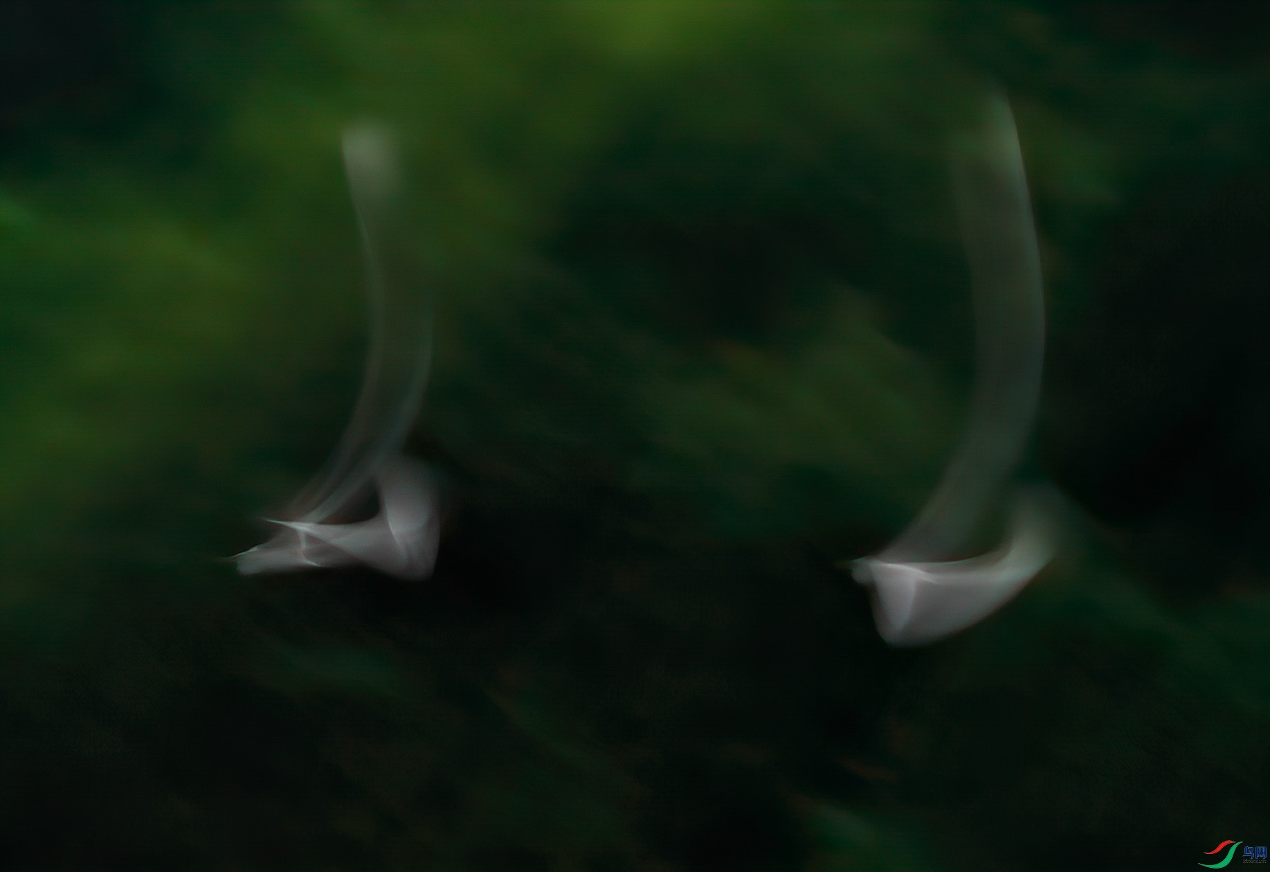 ����_2022090442416.jpg
