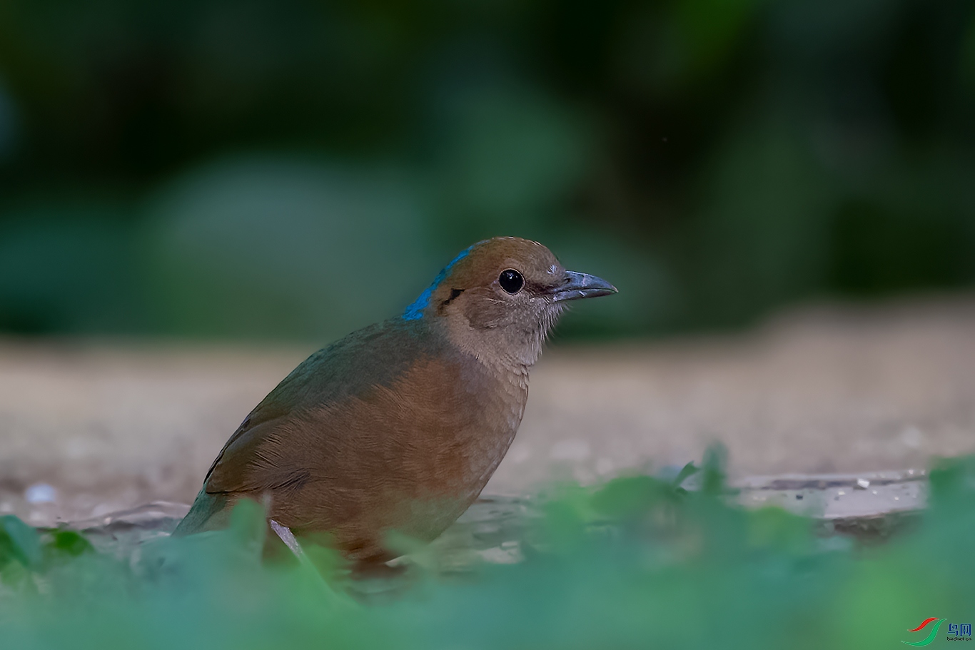 DSC_5382_DxOa.jpg