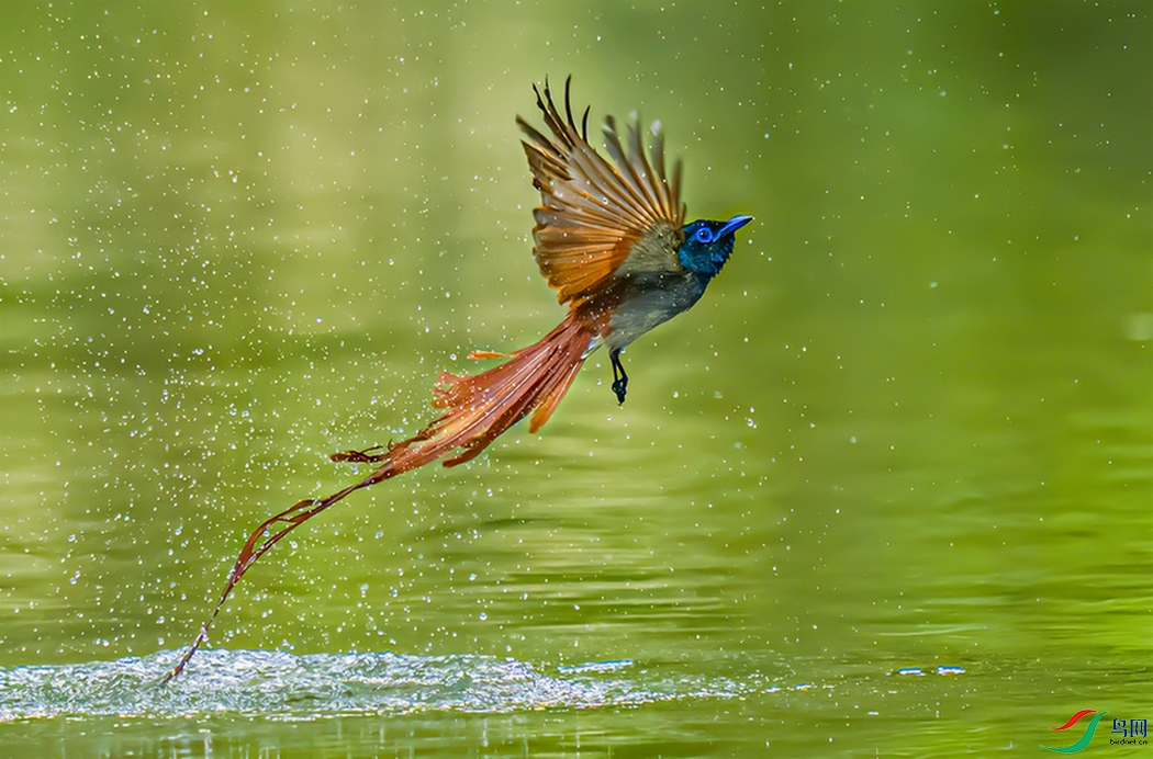 ������ԡ������һԾ���������