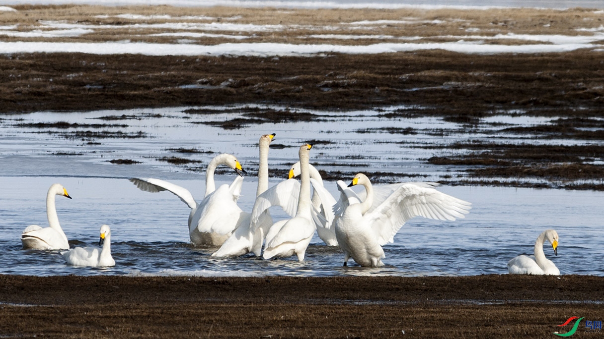 DSC_0852.jpg