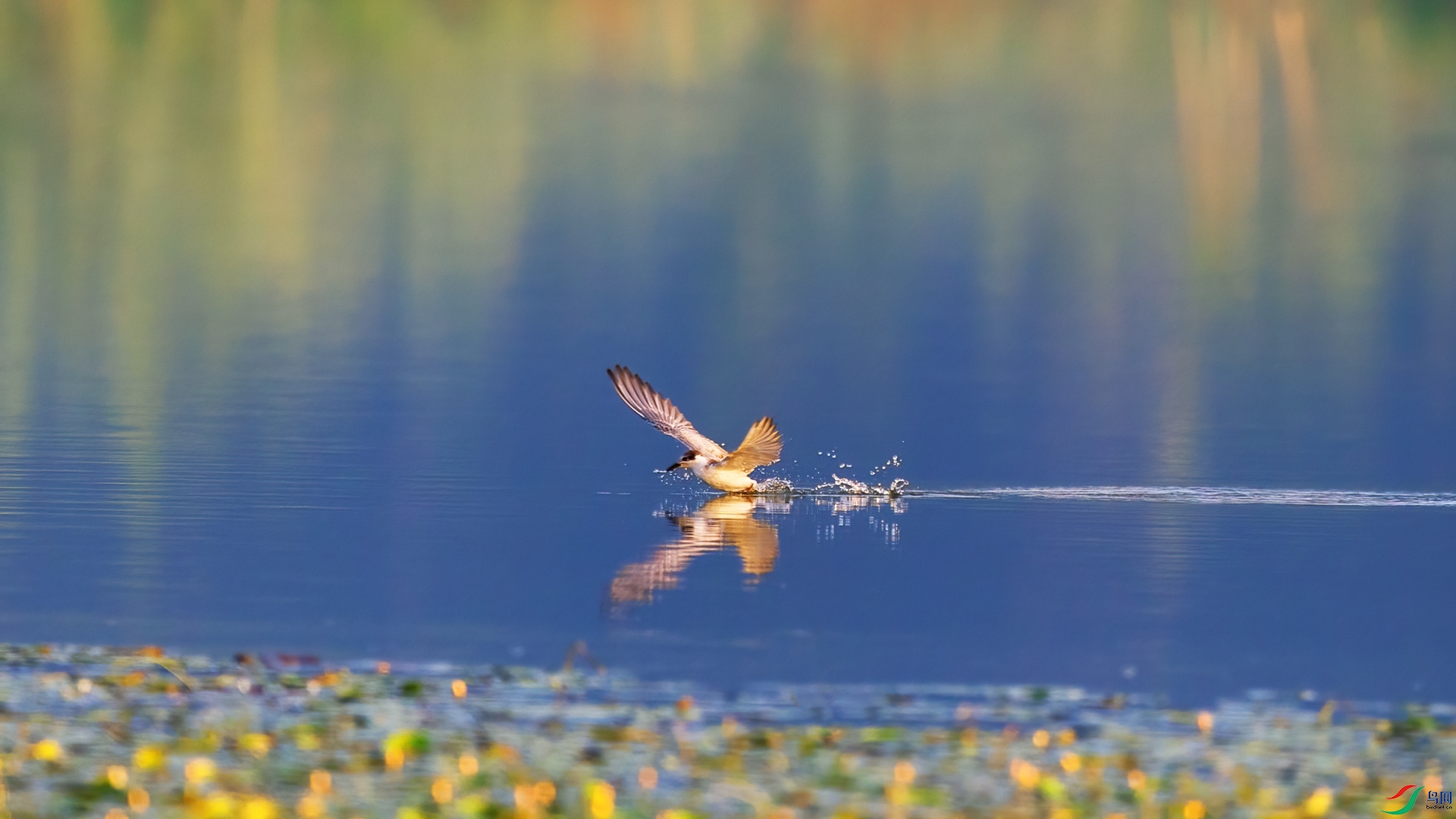 _B5A8873.jpg