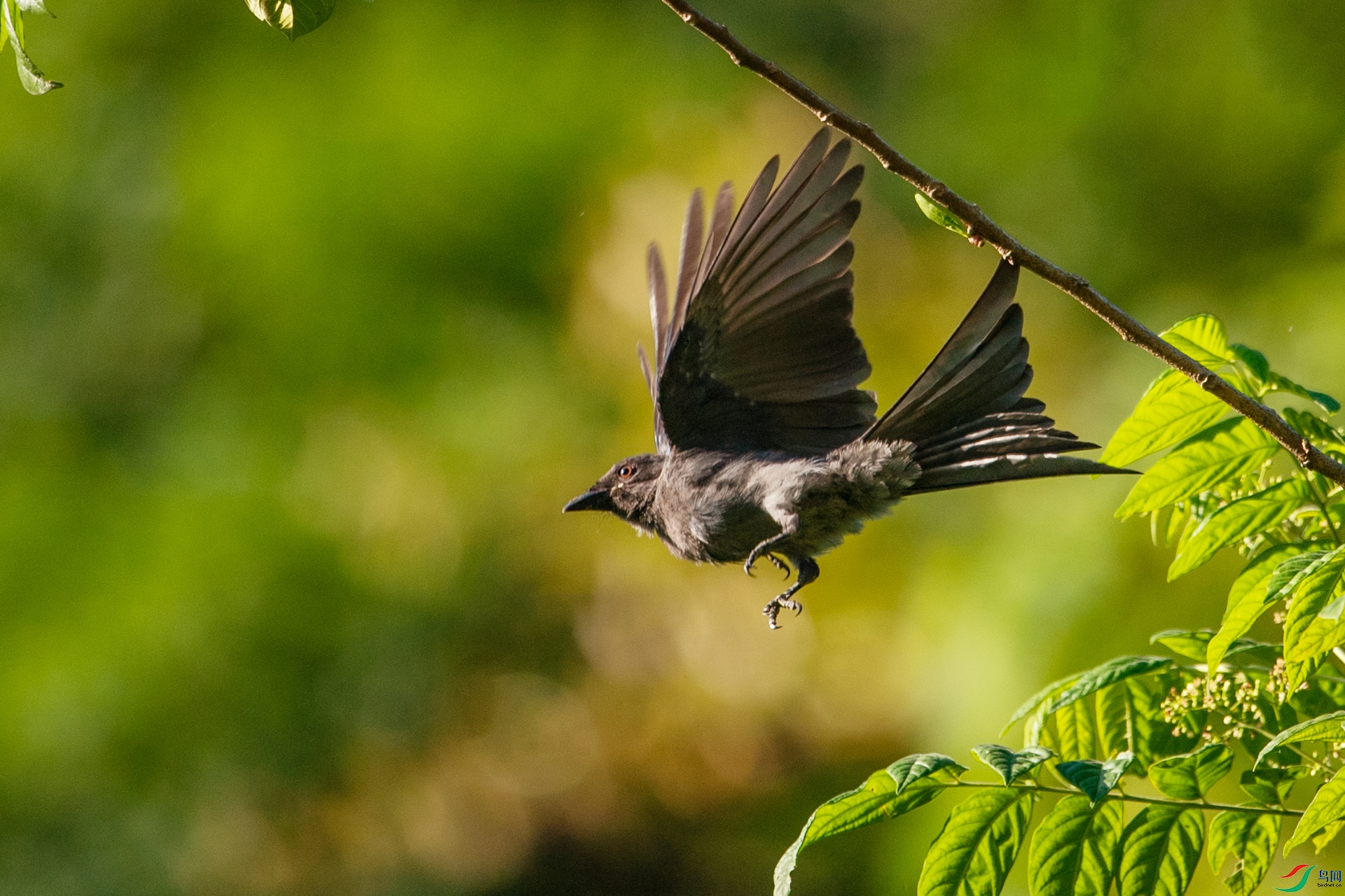 DSC_1364-1.jpg