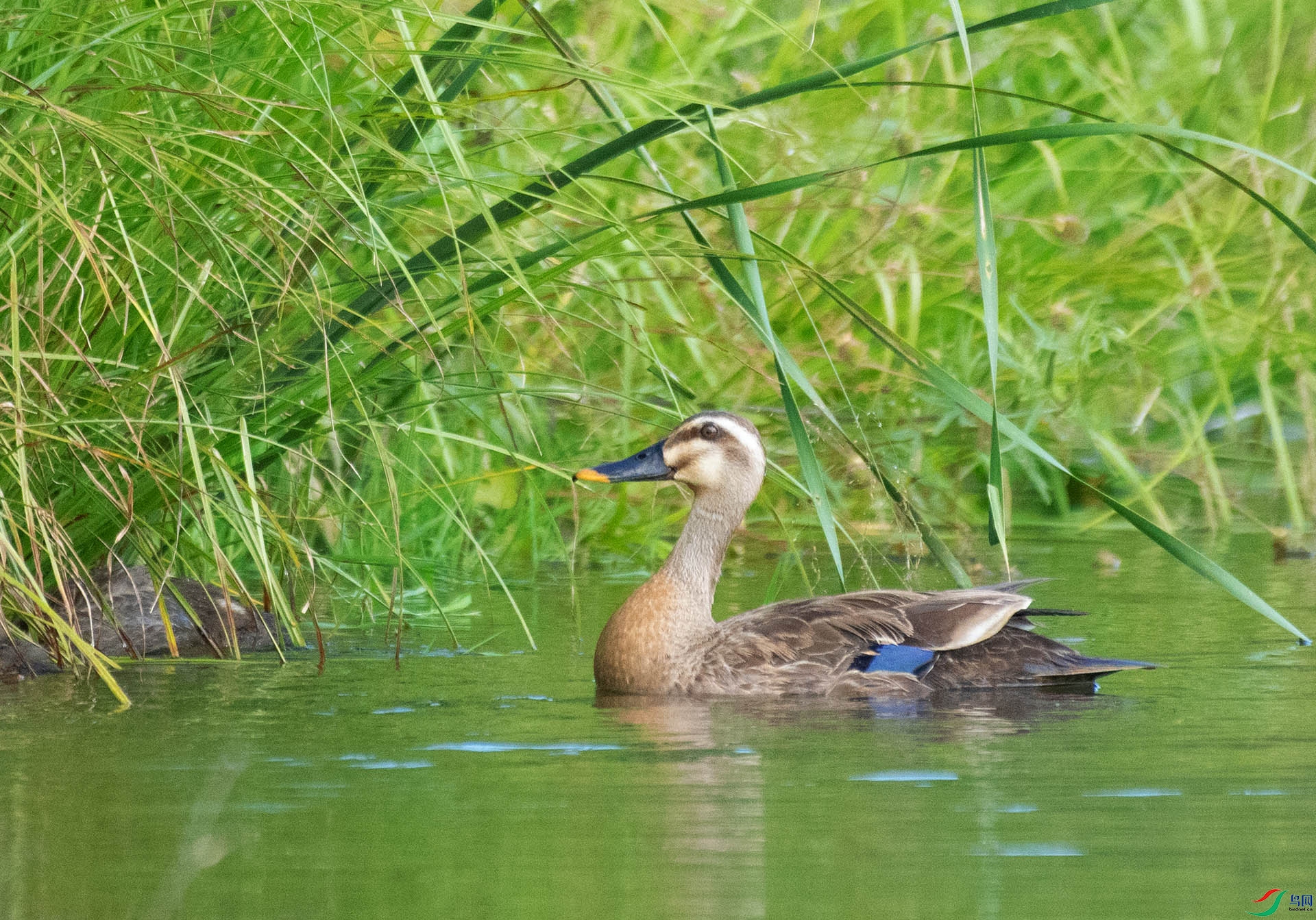 DSC_5751.jpg