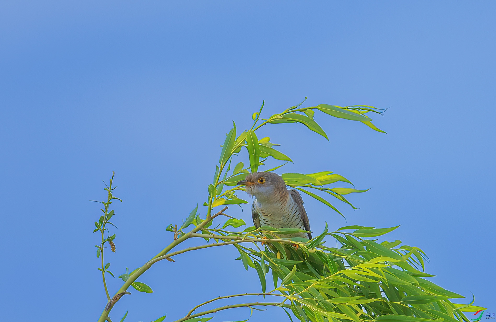 DSC_6176 ����.jpg