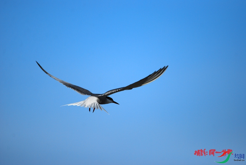 DSC_1794.jpg