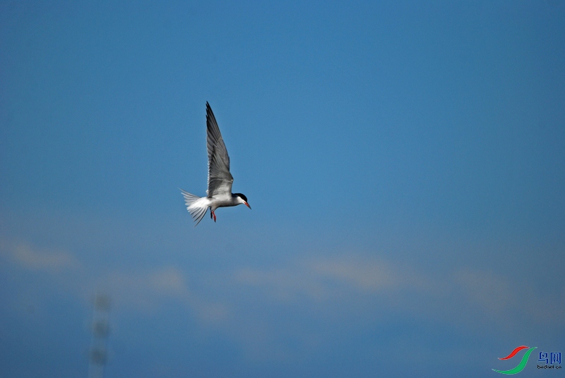 DSC_1818.jpg