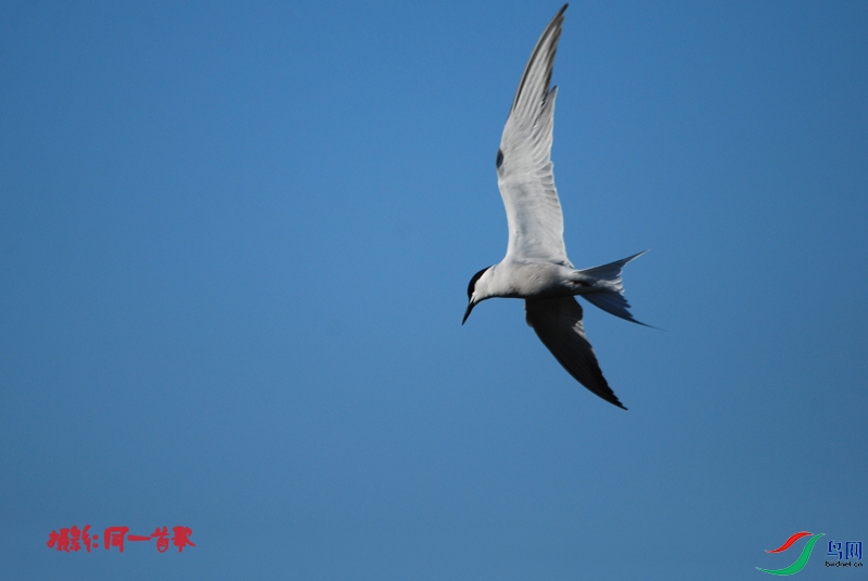 DSC_1822.jpg
