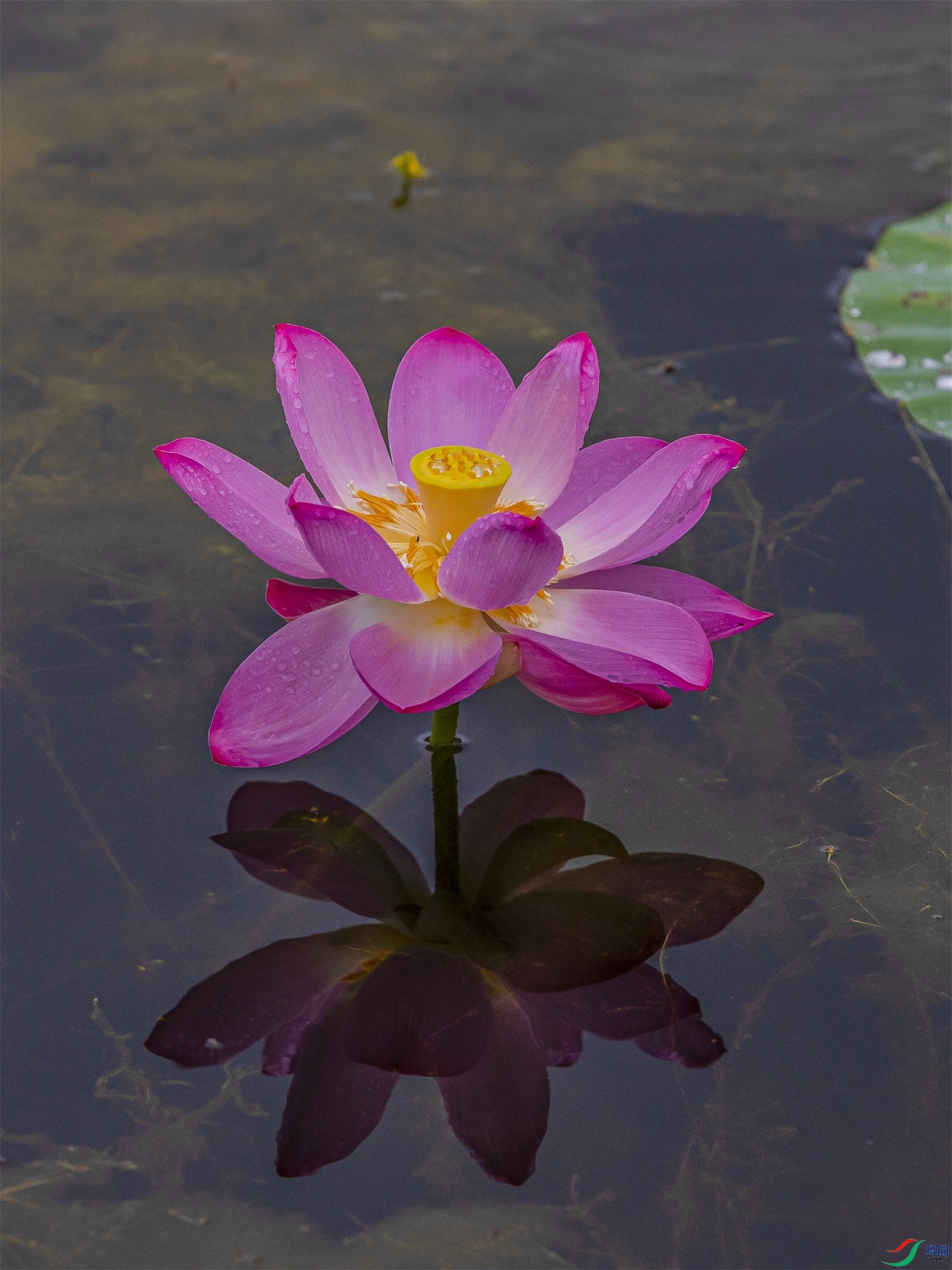 035 ����1.jpg