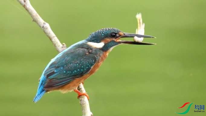 8��24�� (1)_Moment.jpg