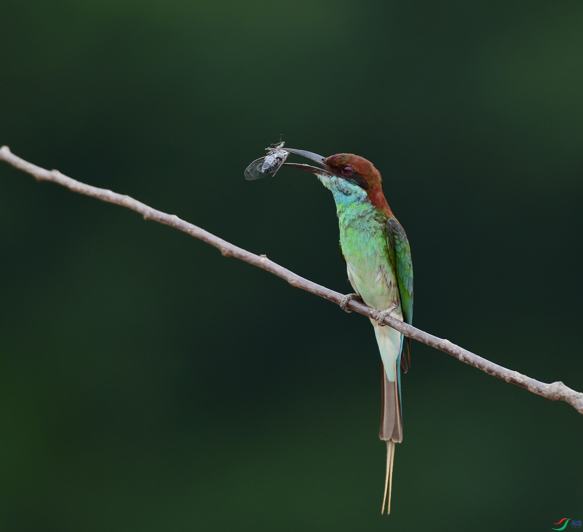 D8I_6527.jpg