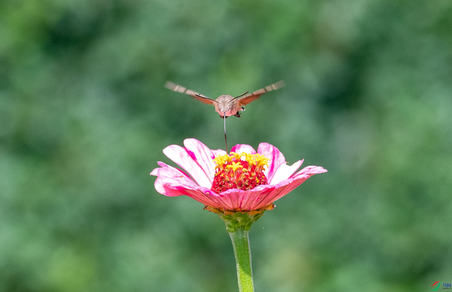 DSC_8237.jpg