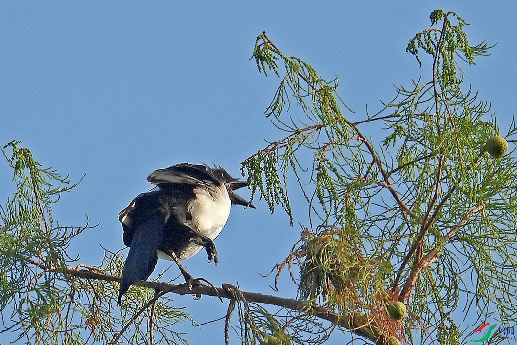 DSCN5855.jpg