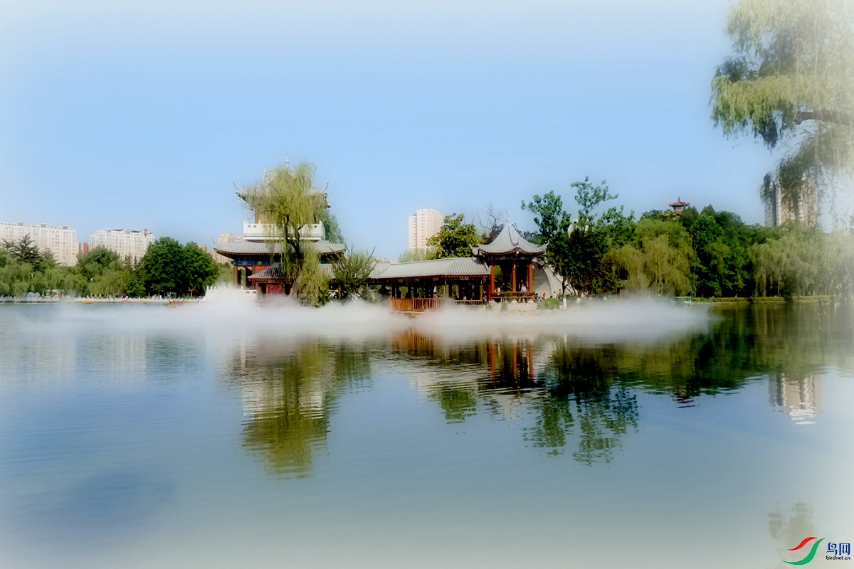IMG_2378.jpg