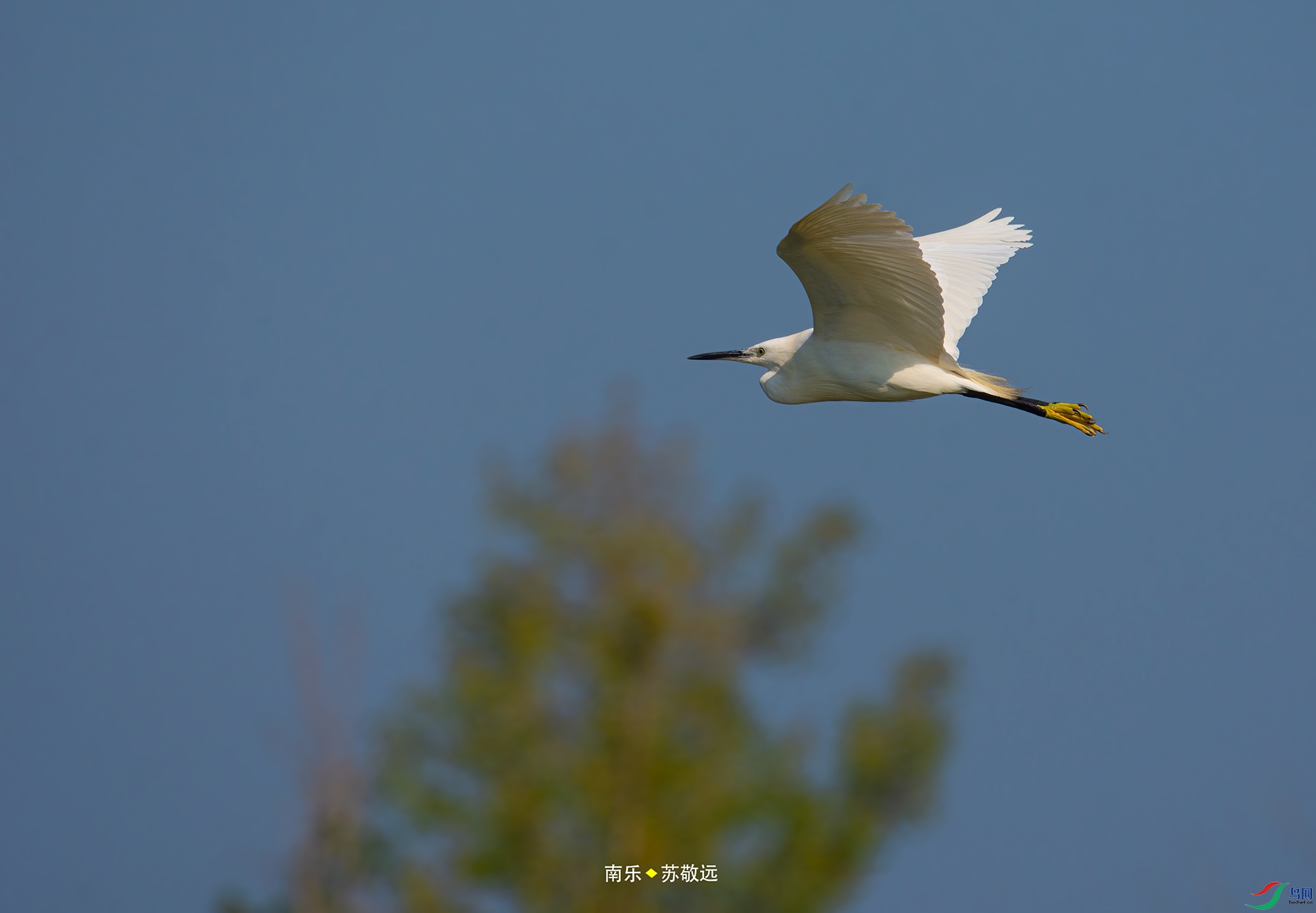 _DSC7791С.jpg