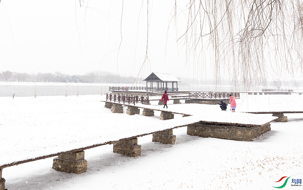 ���յ�����