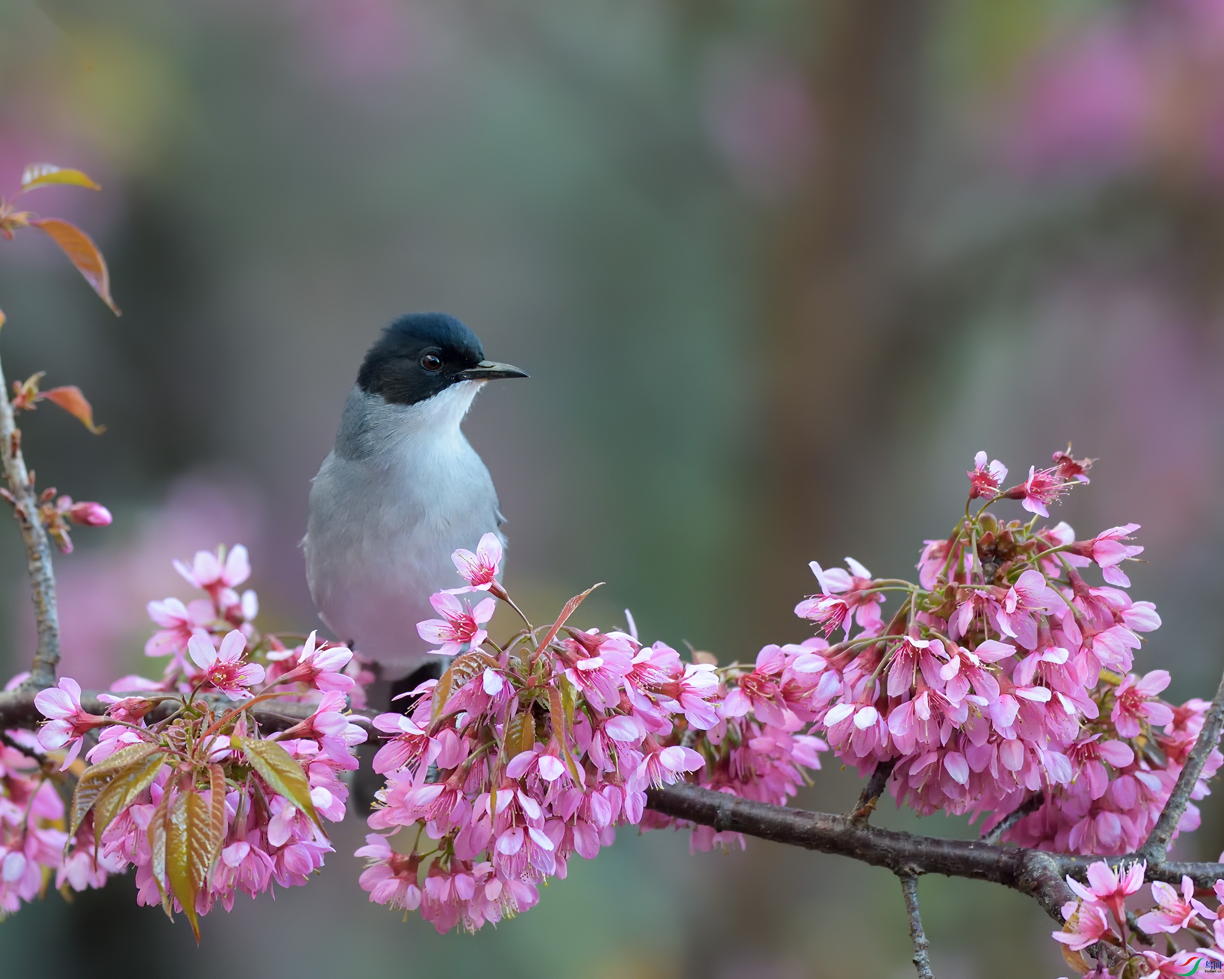 DSC_6482_3.jpg