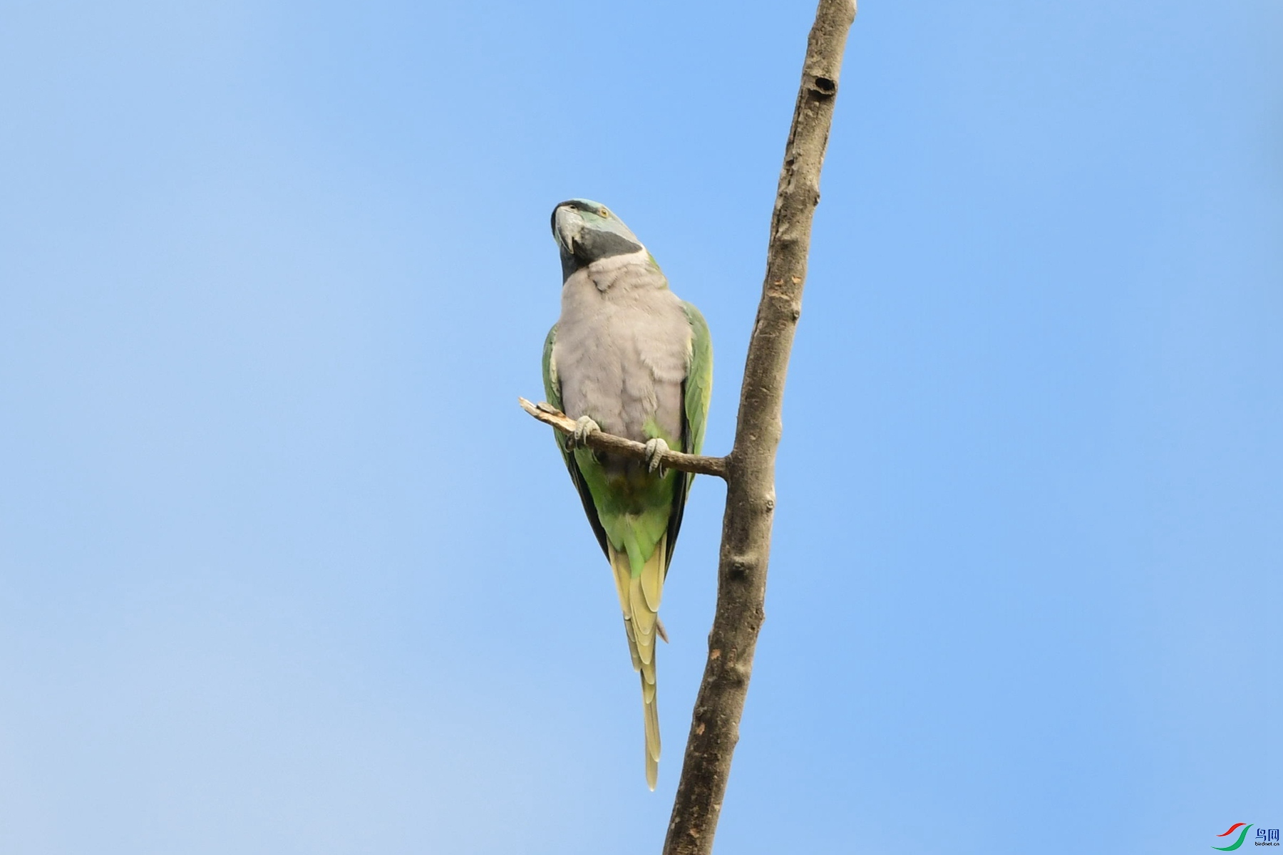 DSC_6441_����.jpg