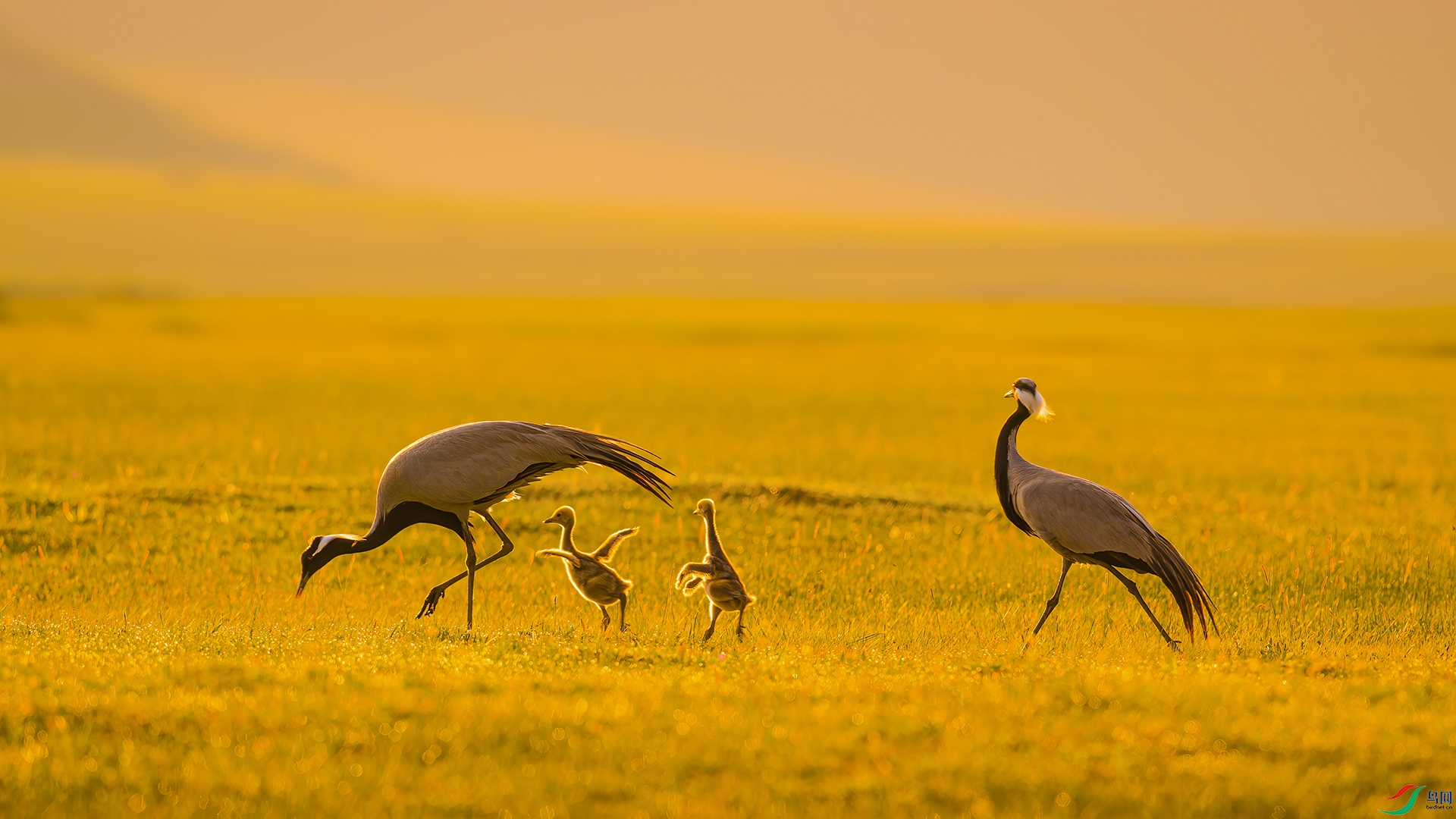 ���ϼһ���_DSC3252-1.jpg