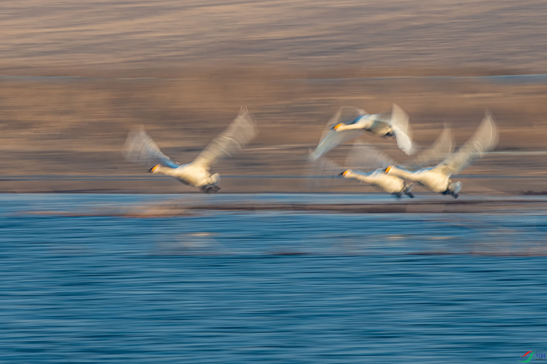 _DSC8078.jpg