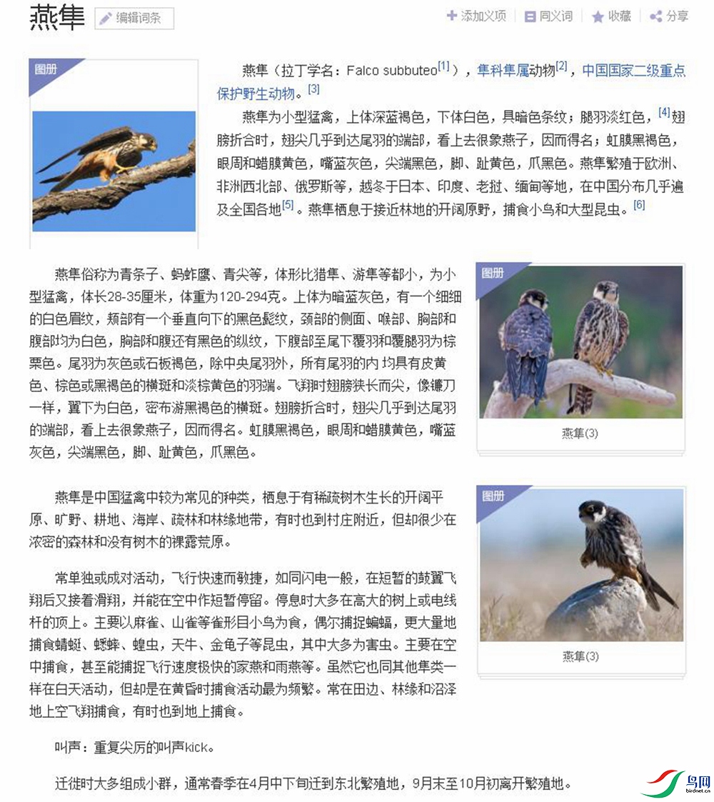 NeoImage_����.jpg