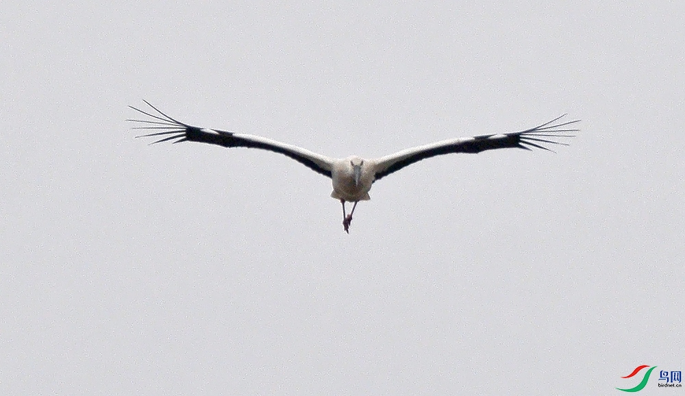 AAC_2081.JPG