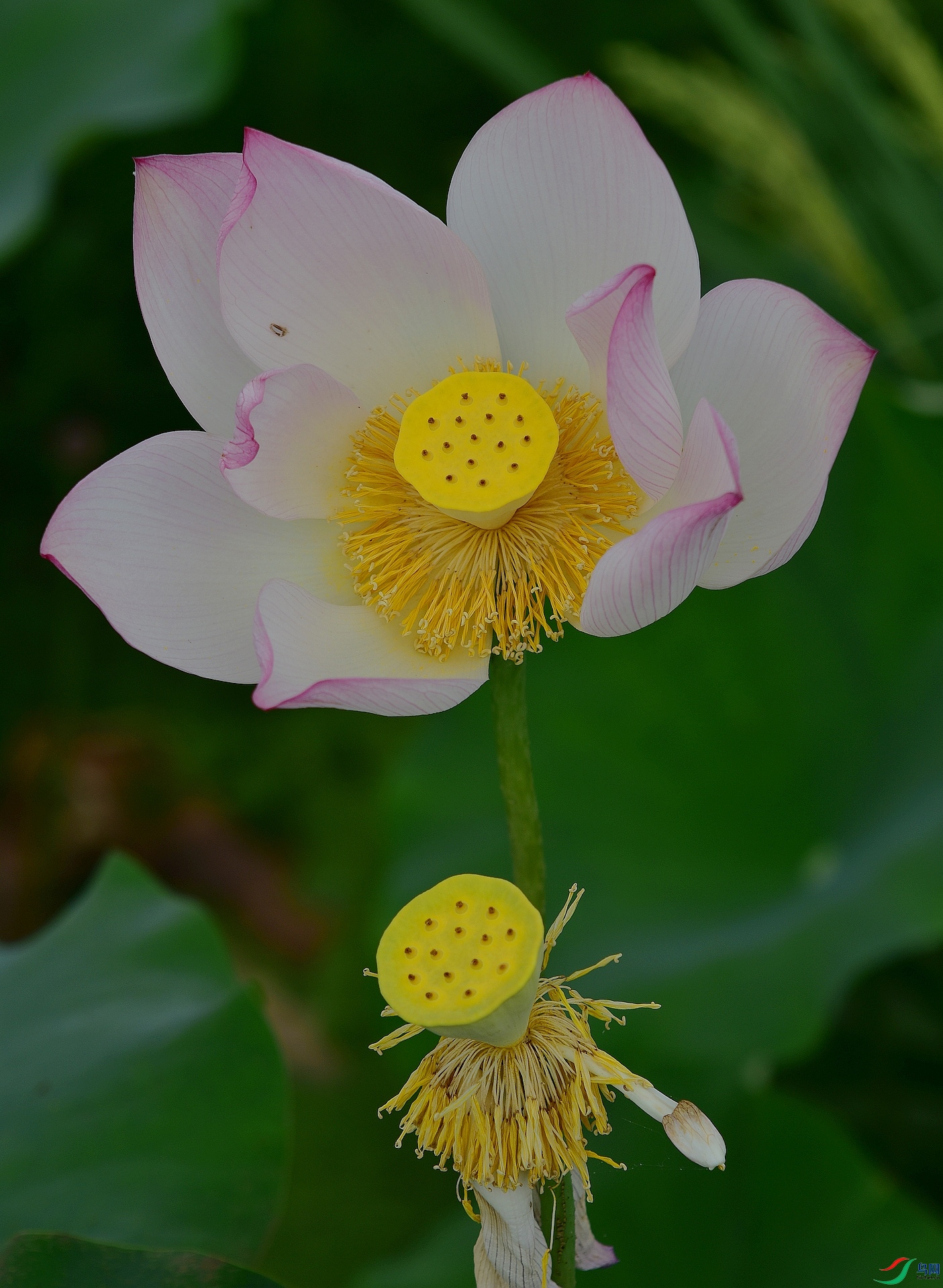 D8I_0502.jpg