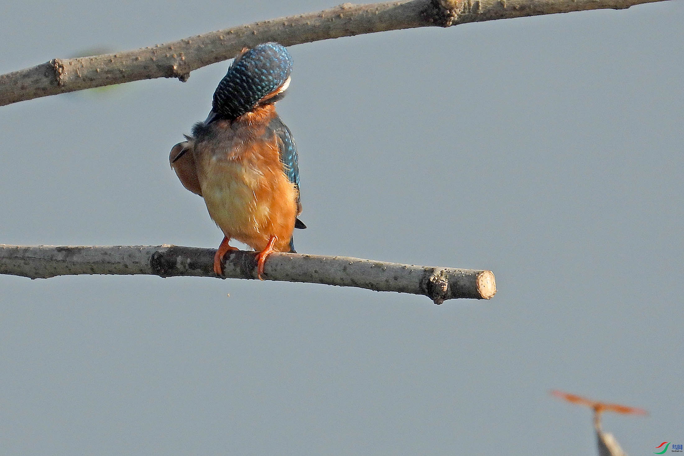 DSCN5909.jpg