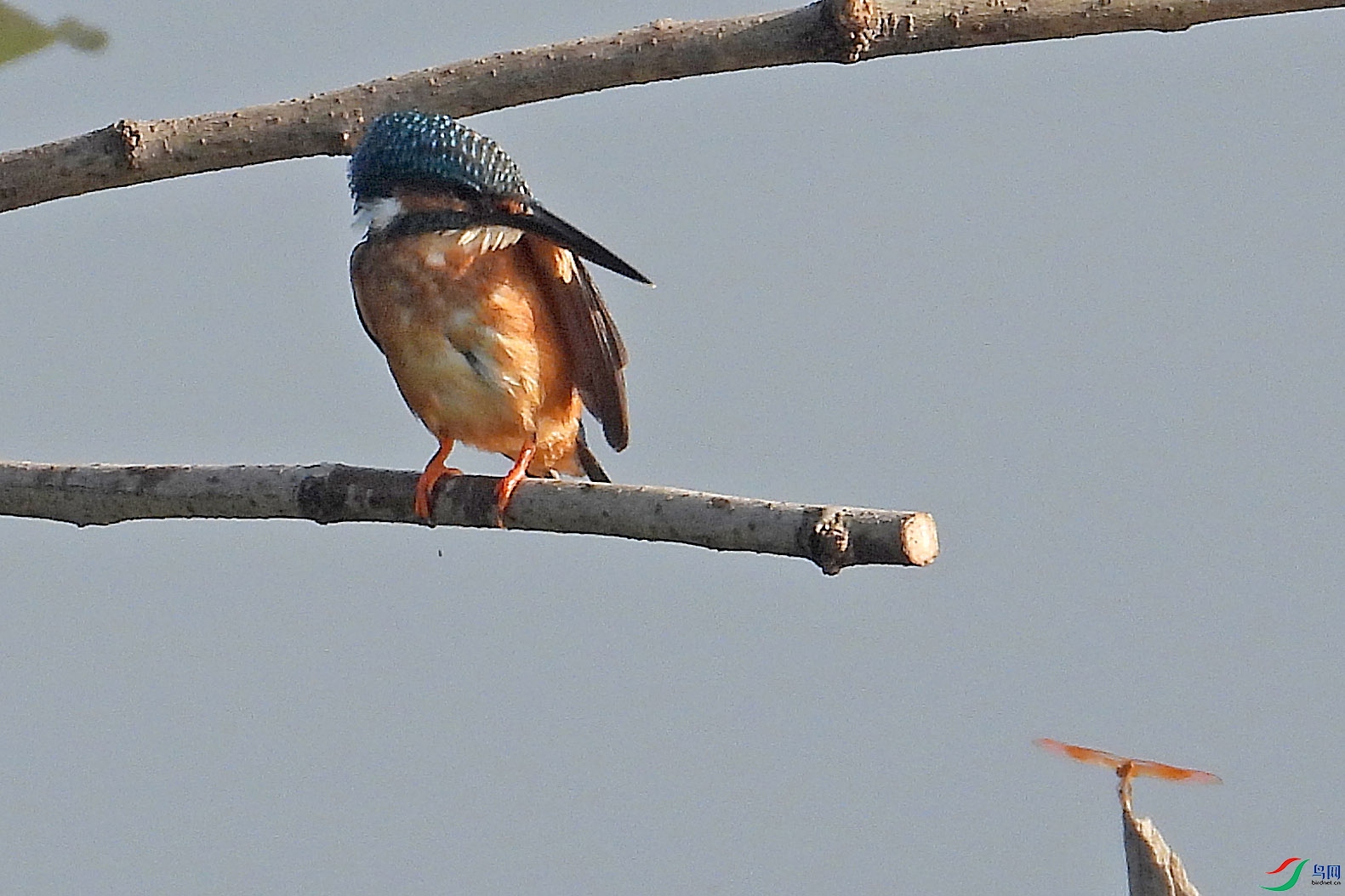 DSCN5895.jpg