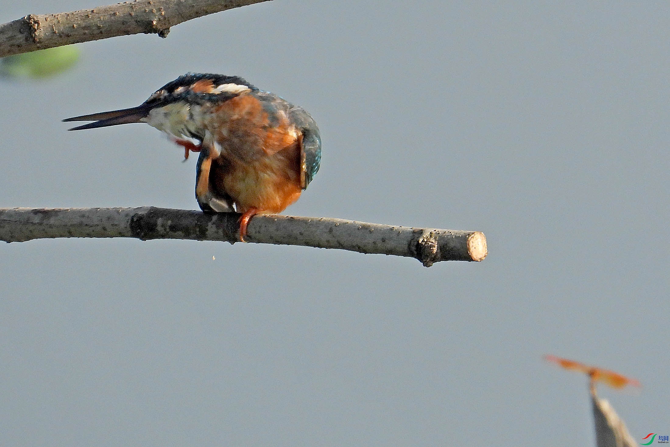 DSCN5910.jpg
