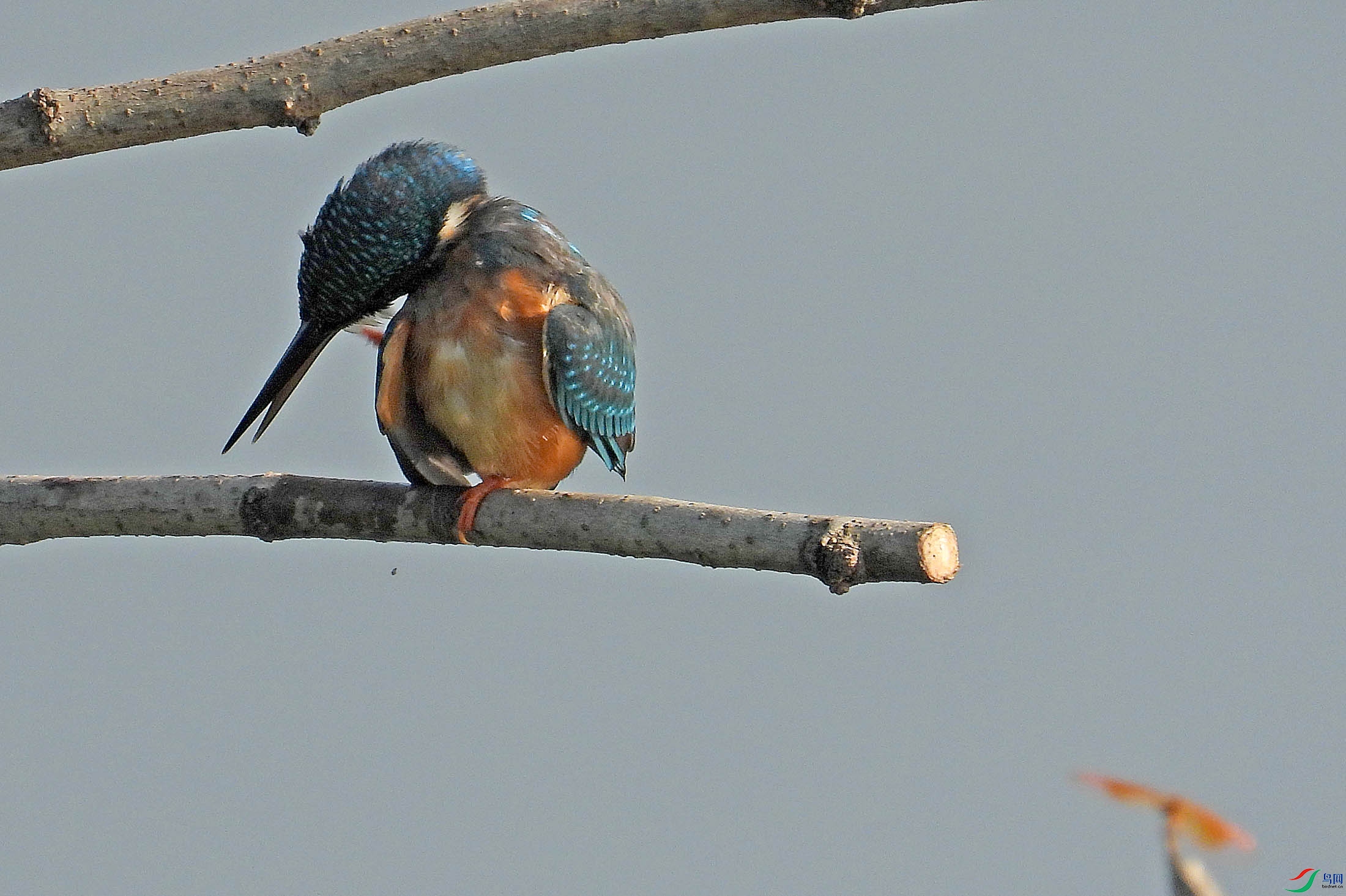 DSCN5914.jpg