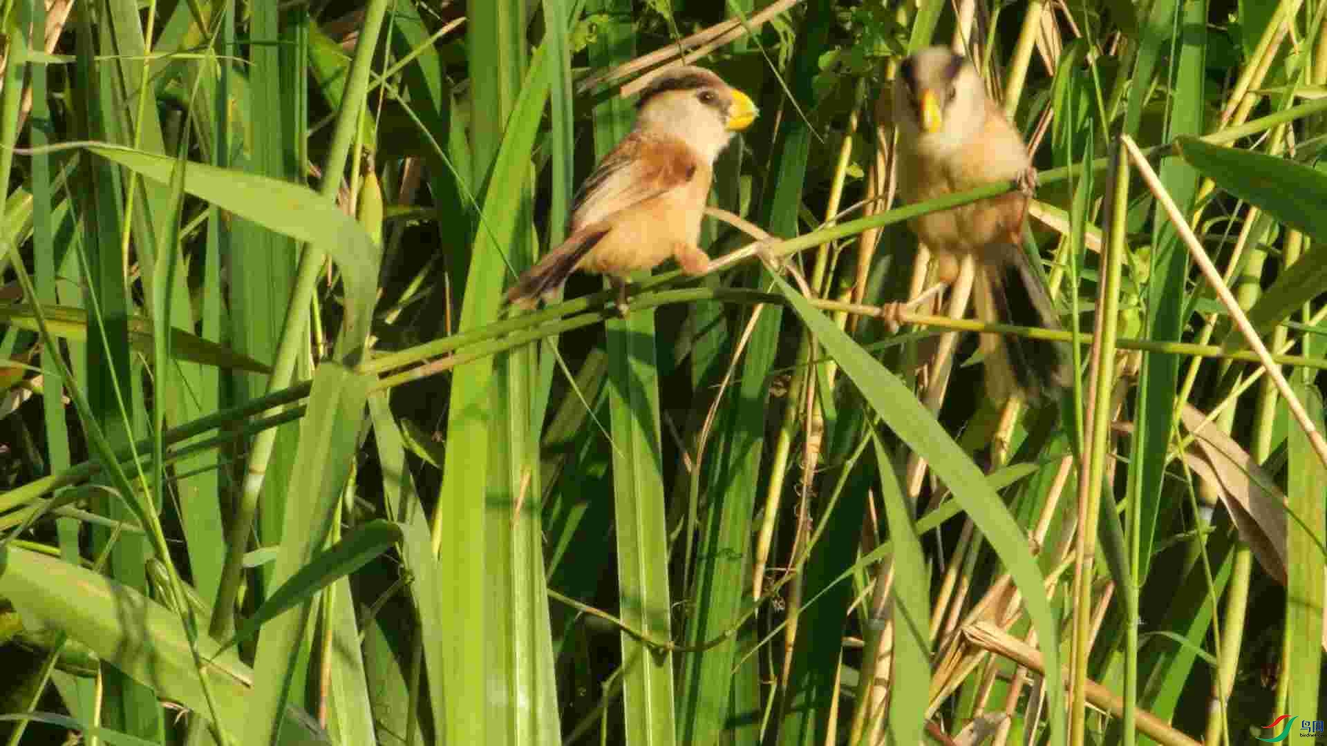 7��27�� (1)_Moment.jpg
