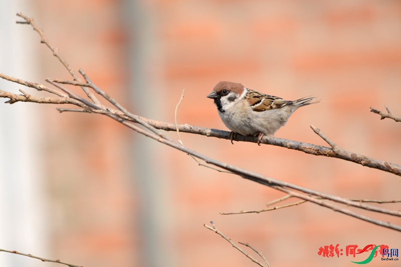 DSC_1827.jpg