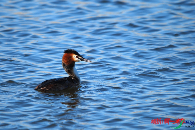 DSC_1834.jpg
