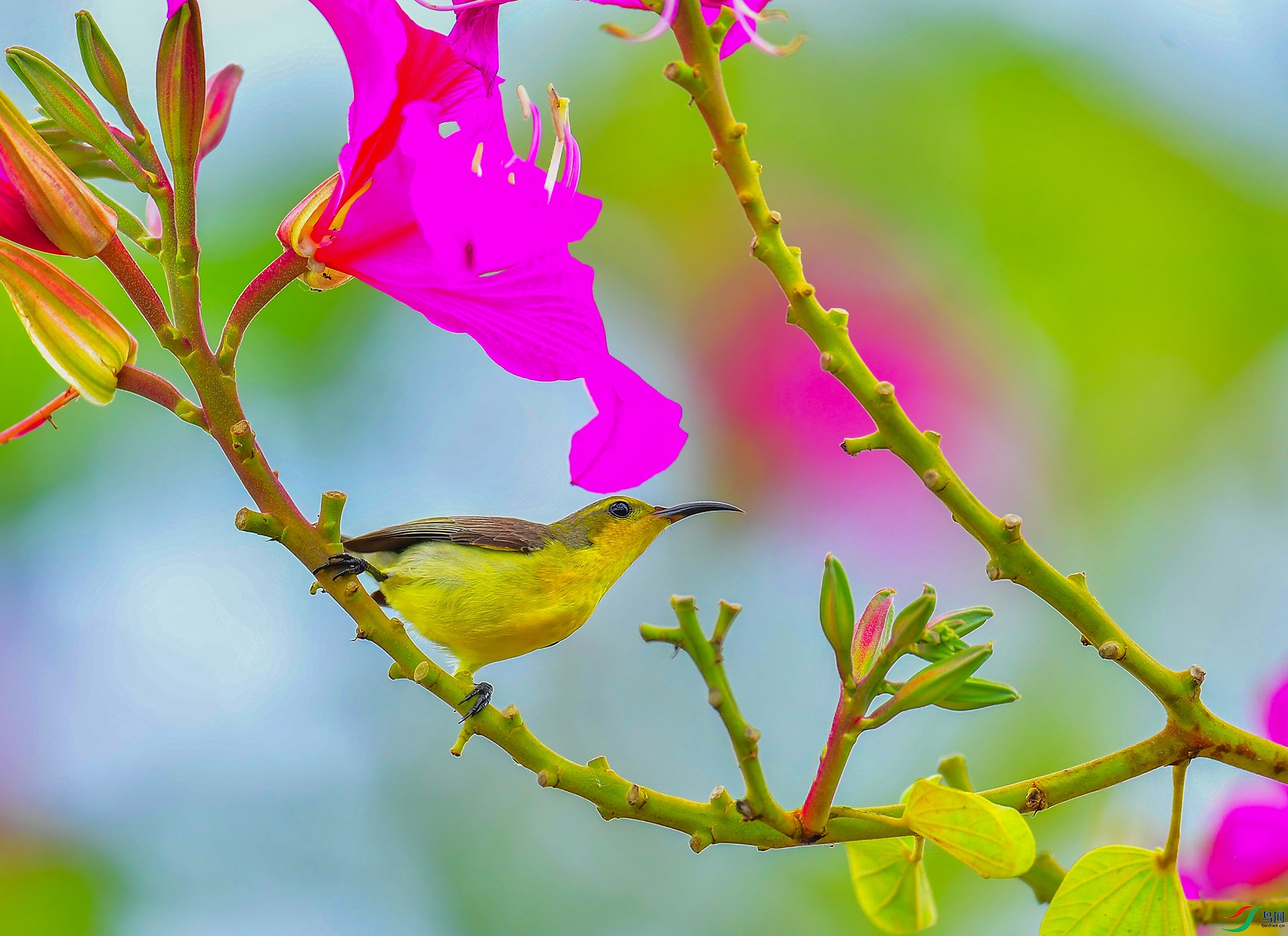 DSC_6740 ����.jpg