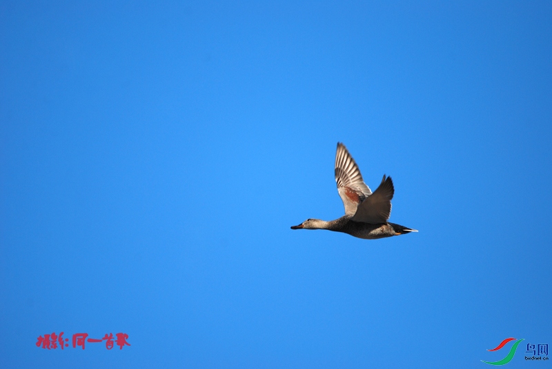 DSC_1869.jpg