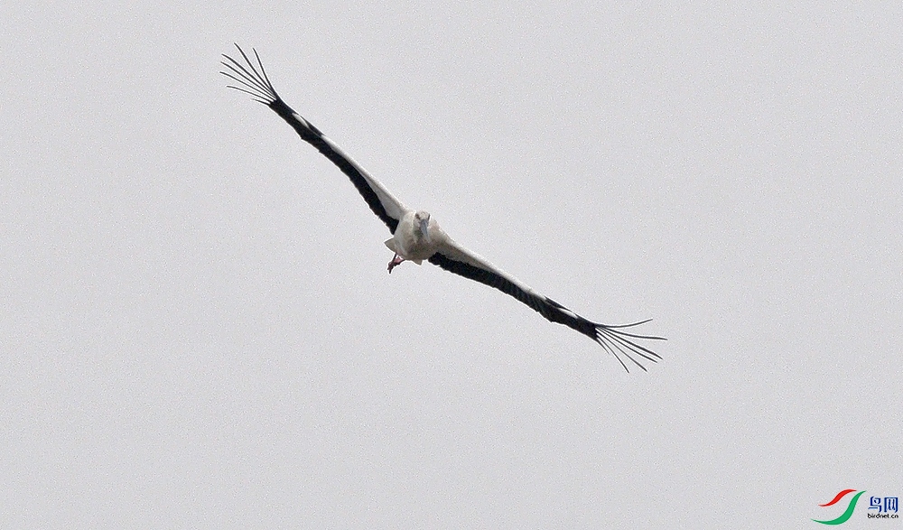 AAC_2085.JPG