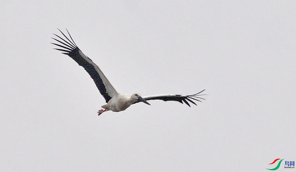 AAC_2087.JPG