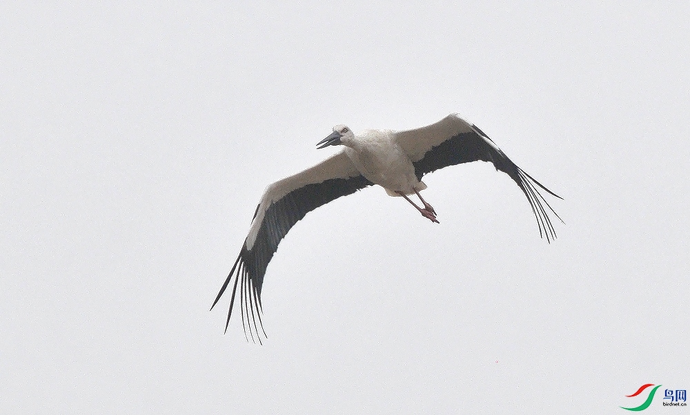 AAC_2100.JPG