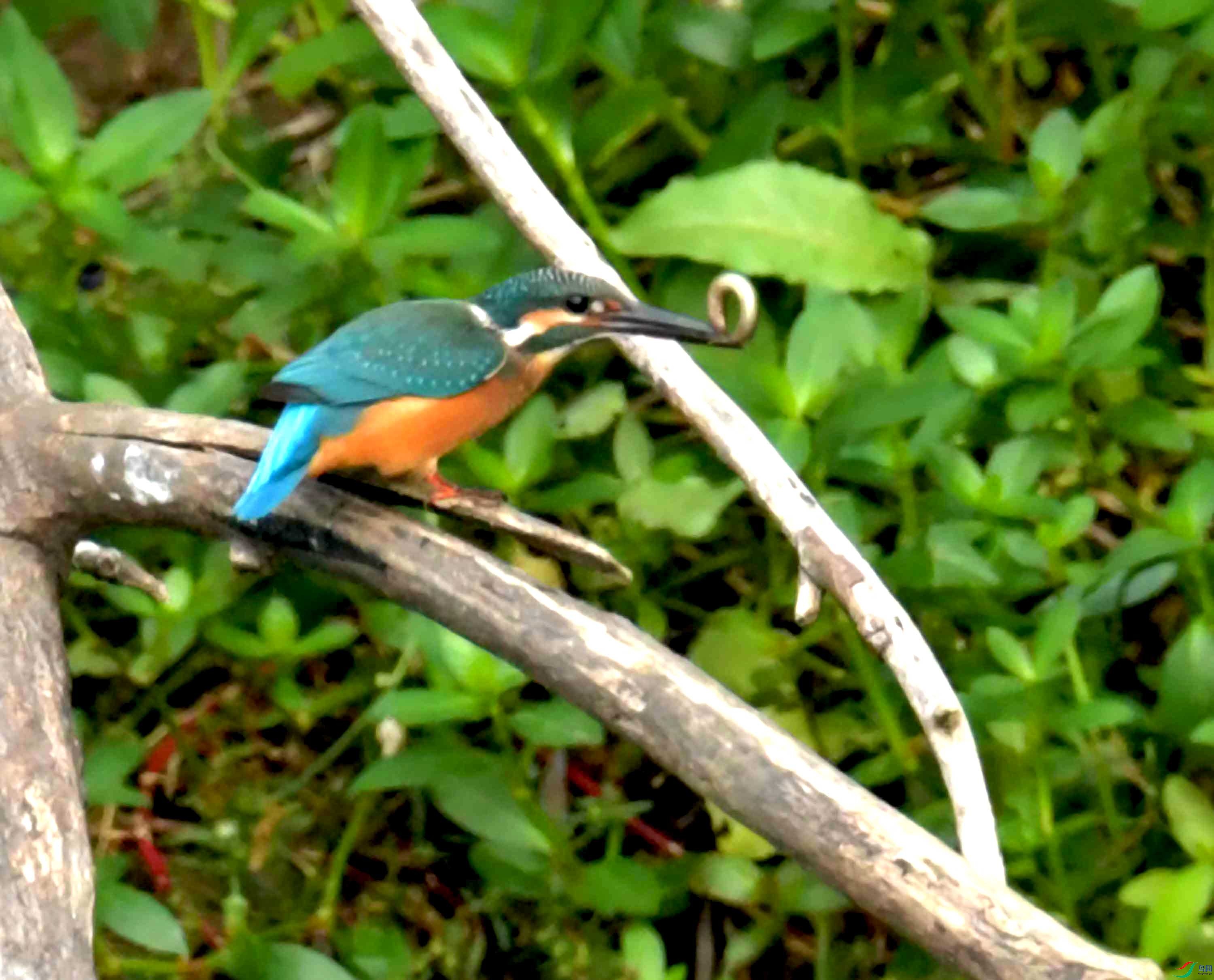 DSC_3414.JPG