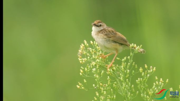 9��9�� (1)_Moment.jpg