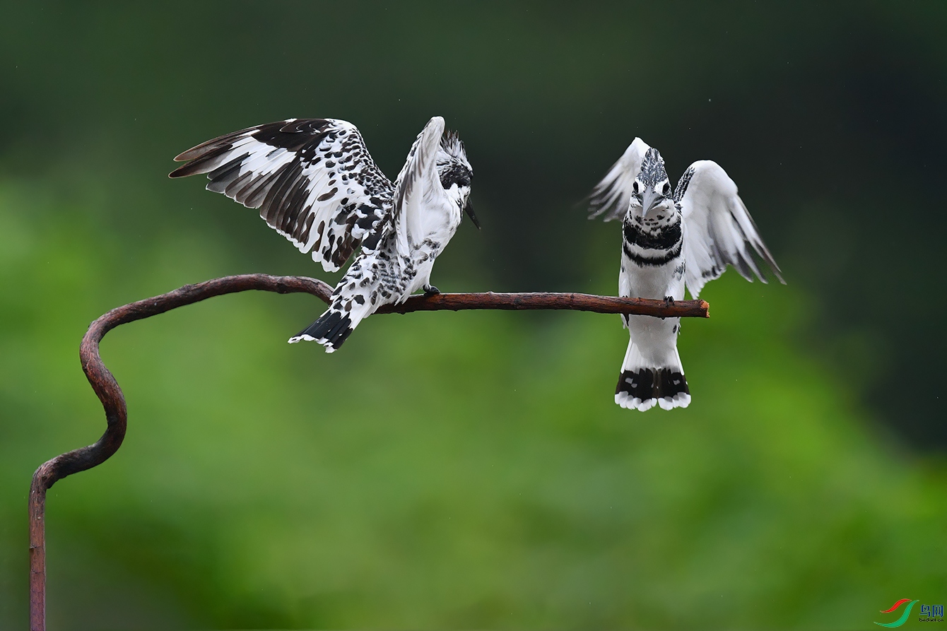 DSC_4908_DxOa.jpg