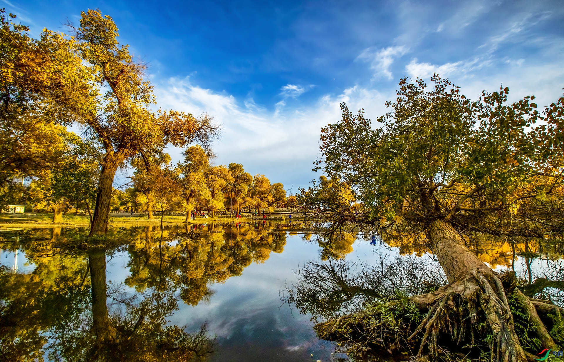 _S7I8997--1---  .jpg