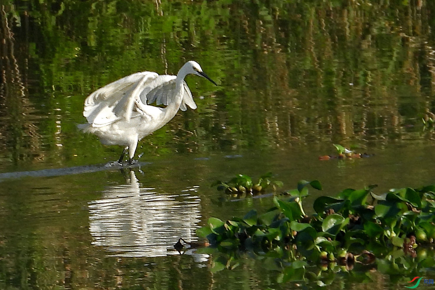 DSCN5953.jpg