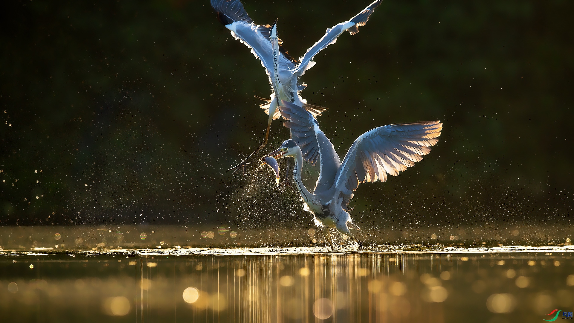 _CGS0878 ����.jpg