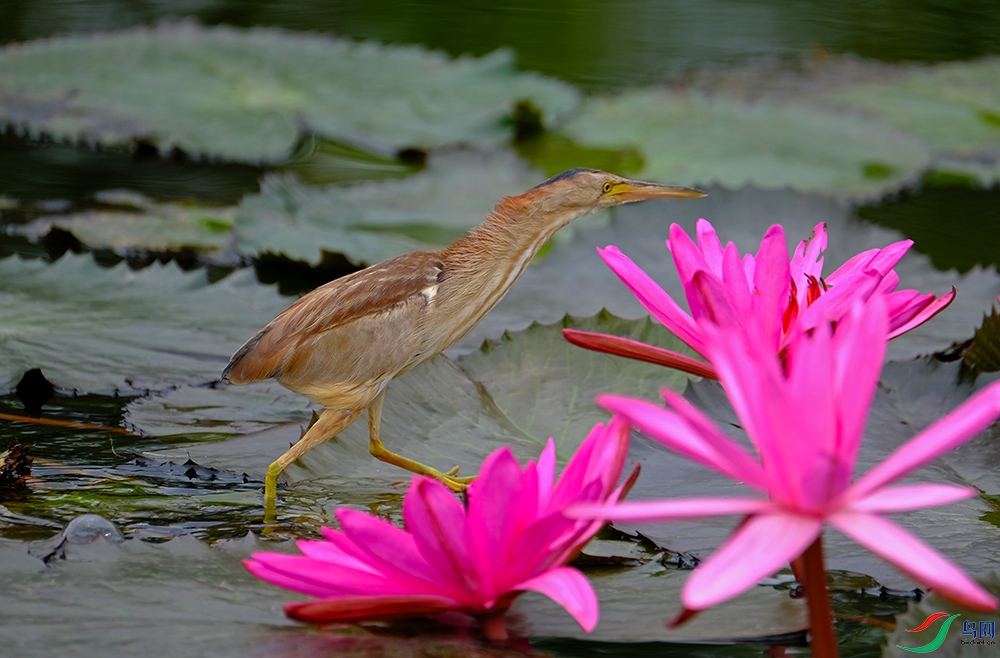 DSCF2362.1.jpg