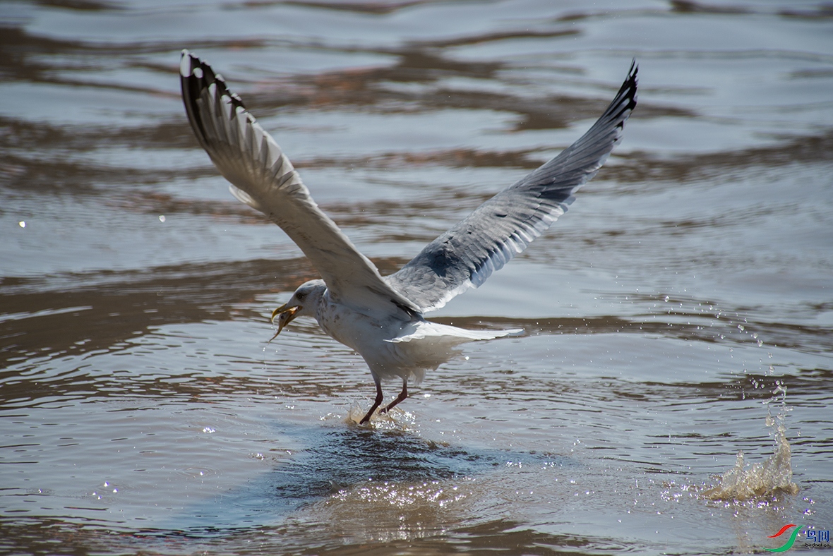 _DSC9102().jpg