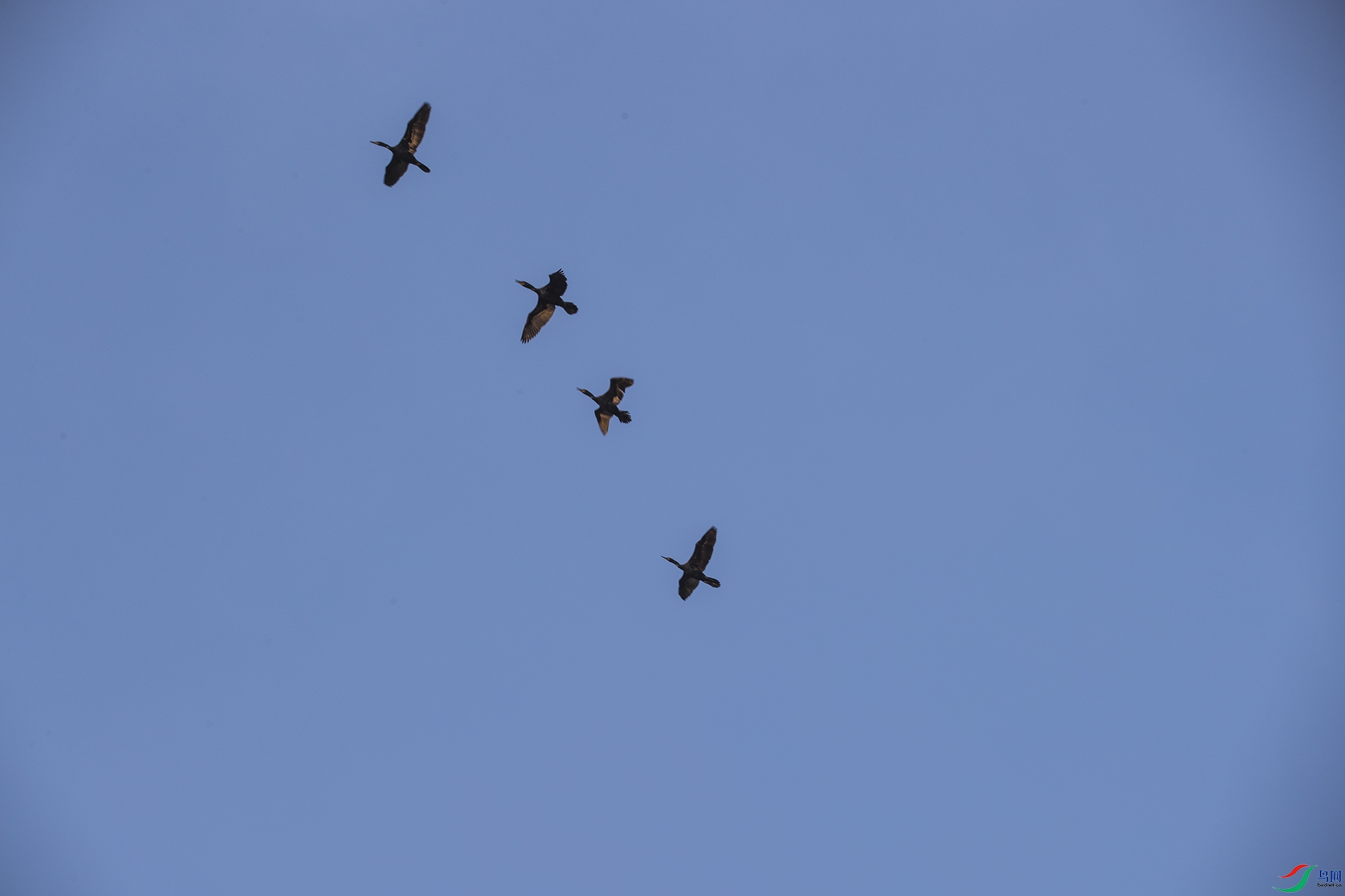 _B2I2843-2.jpg