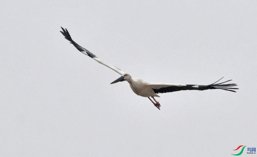 AAC_2095.JPG