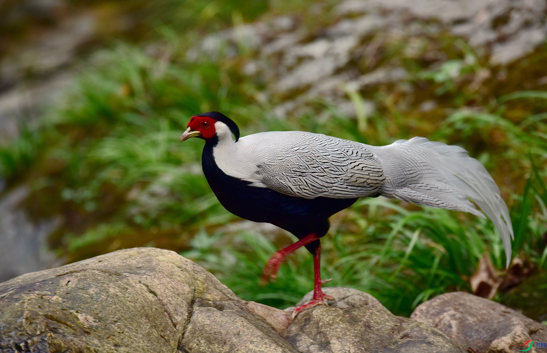 D8I_0157.jpg